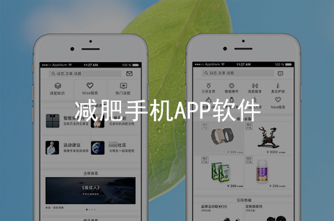 減肥手機APP開發案例